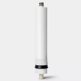 STUFE 4: 
DIE MEMBRAN